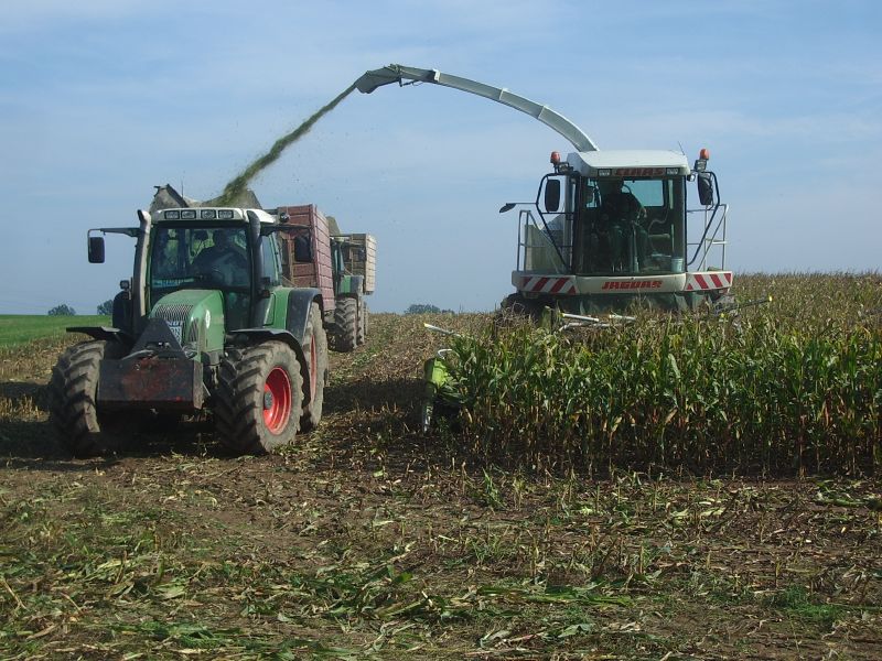 Claas Jaguar 900 mit Fendt Vario 716.jpg